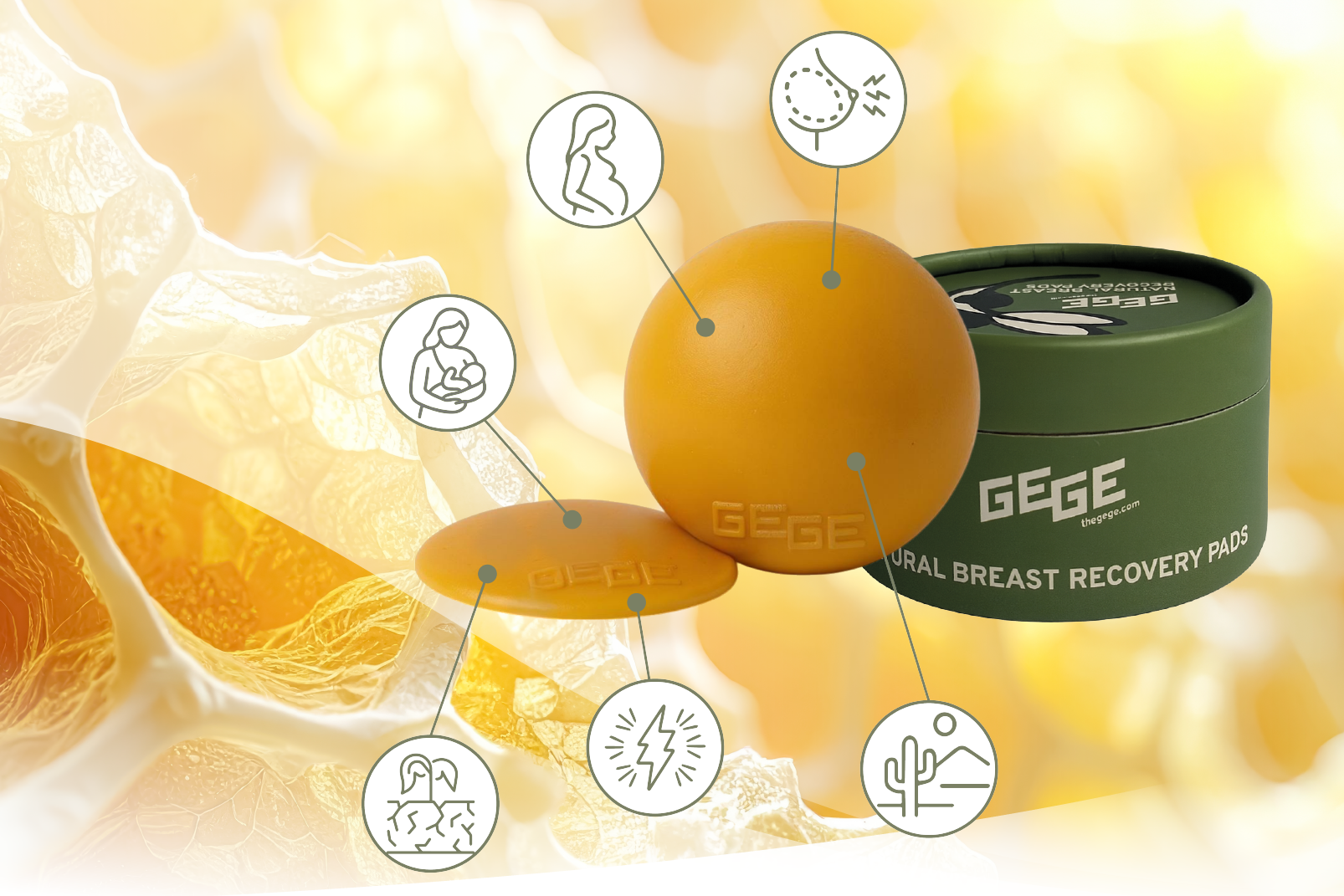 baneris.png__PID:53188631-b6ae-40bf-9748-009f88430d3b