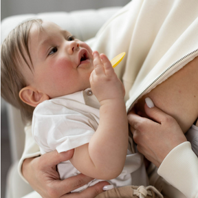 NATURAL BREAST RECOVERY PADS